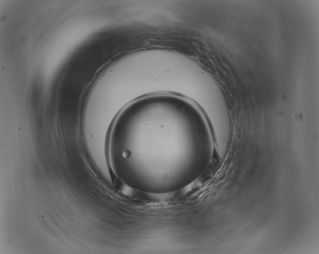 X0000073730052200608241307