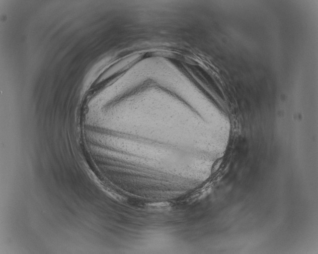 X0000073730053200608241307