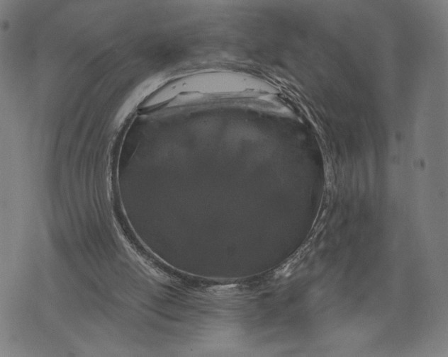 X0000073730054200608241307