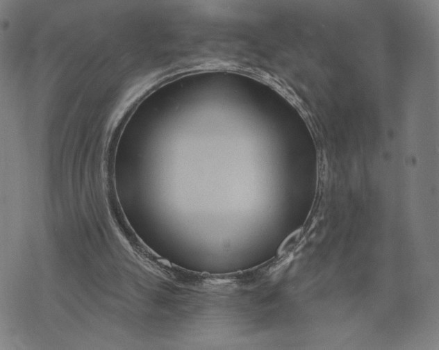 X0000073730055200608241307