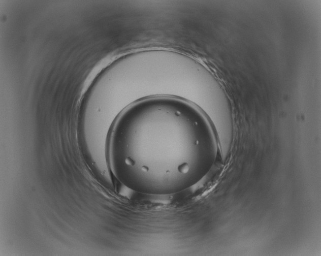 X0000073730056200608241307