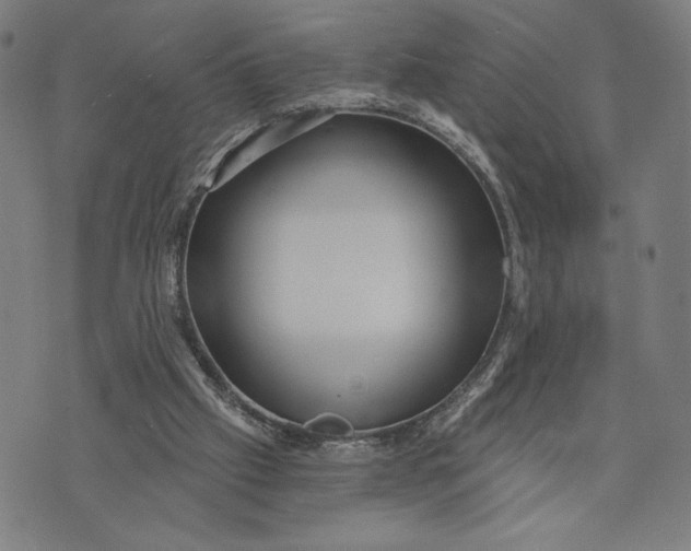 X0000073730057200608241307