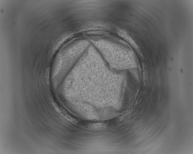 X0000073730058200608241307