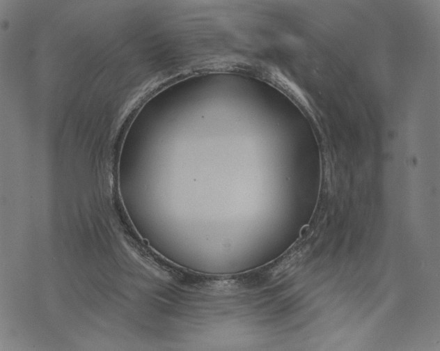 X0000073730059200608241307