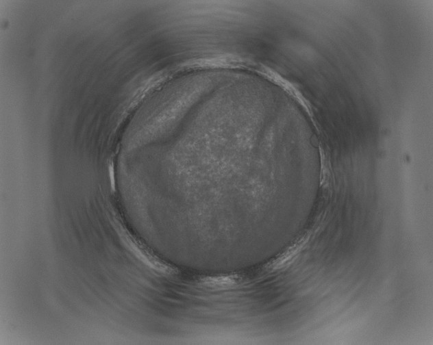 X0000073730061200608241307