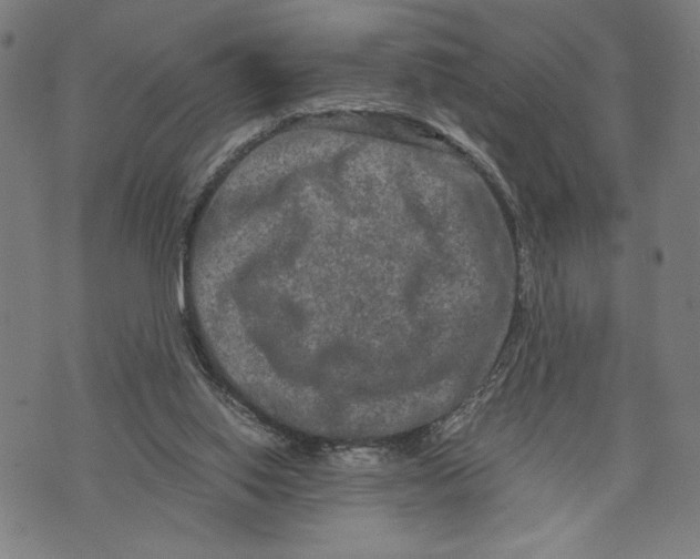 X0000073730062200608241307