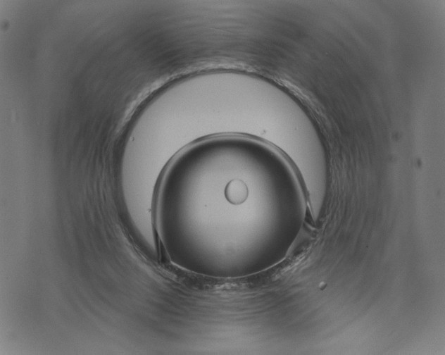 X0000073730064200608241307