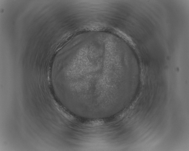 X0000073730065200608241307