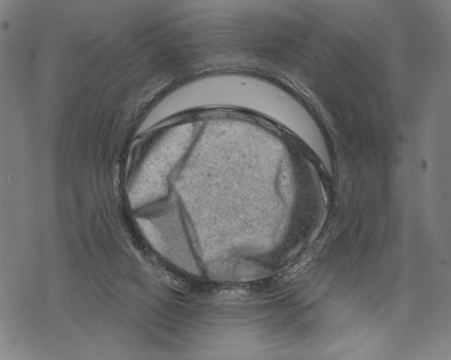 X0000073730066200608241307