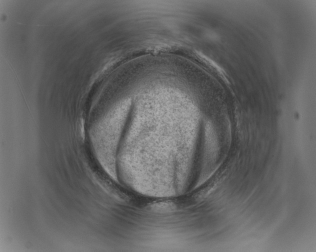 X0000073730067200608241307