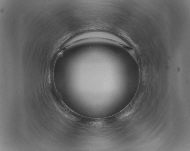 X0000073730068200608241307