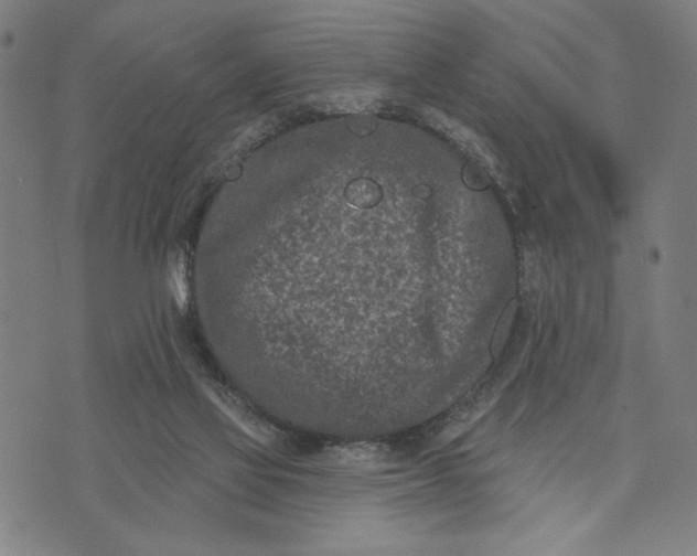 X0000073730069200608241307