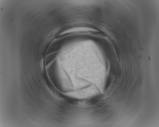 X0000073730070200608241307