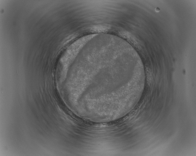 X0000073730071200608241307