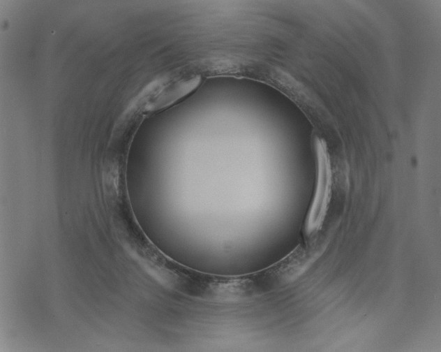 X0000073730072200608241307