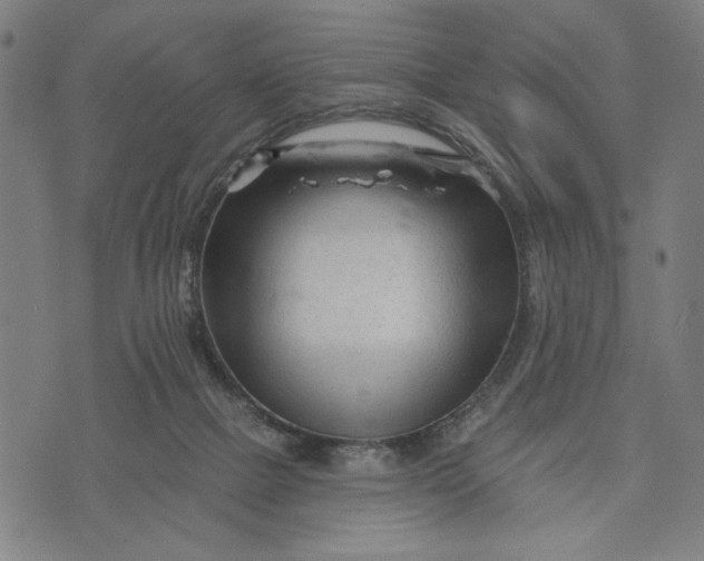 X0000073730073200608241307