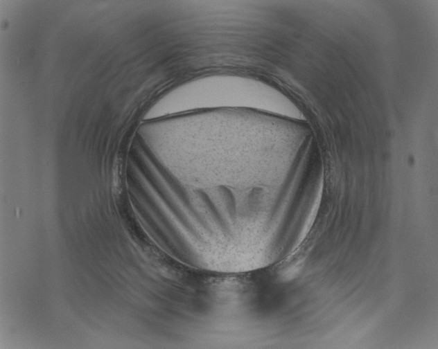 X0000073730074200608241307