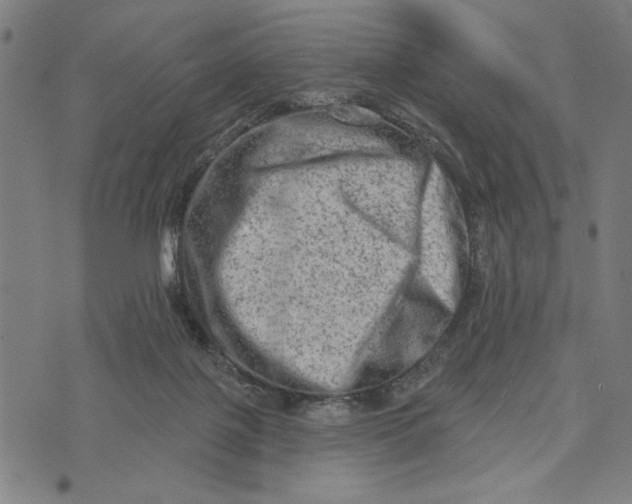 X0000073730075200608241307