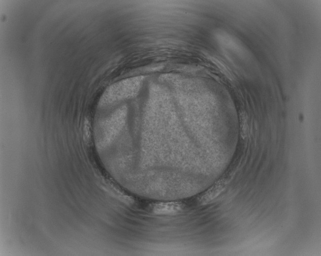 X0000073730077200608241307