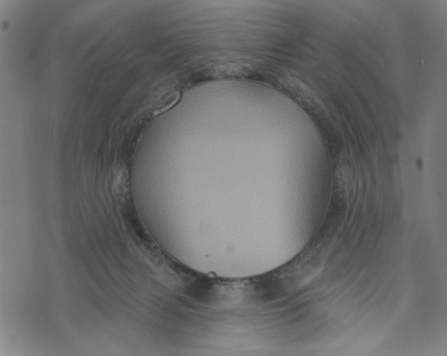 X0000073730079200608241307