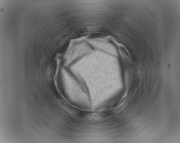 X0000073730082200608241307