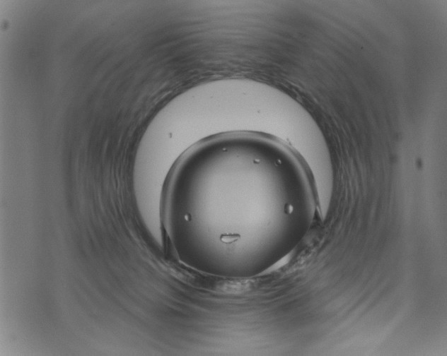 X0000073730084200608241307