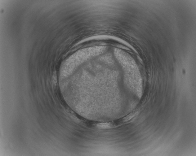 X0000073730085200608241307