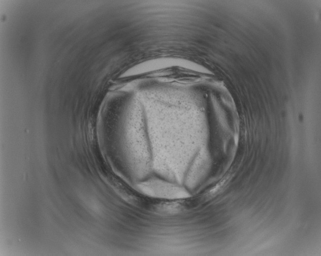 X0000073730086200608241307