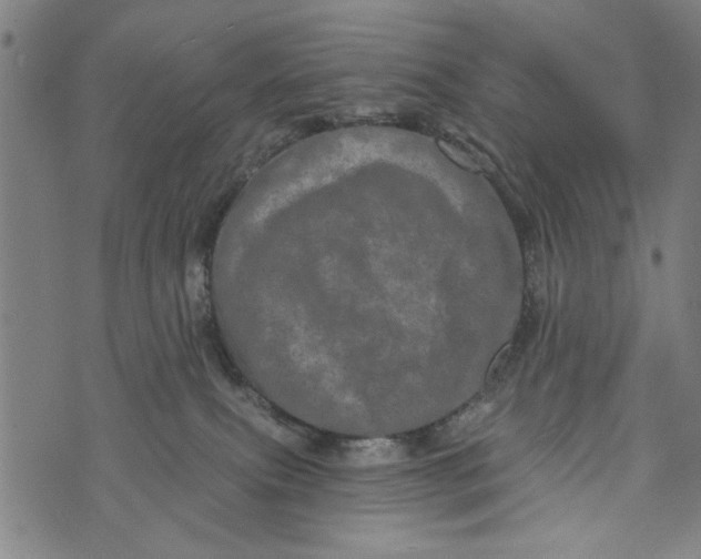 X0000073730087200608241307