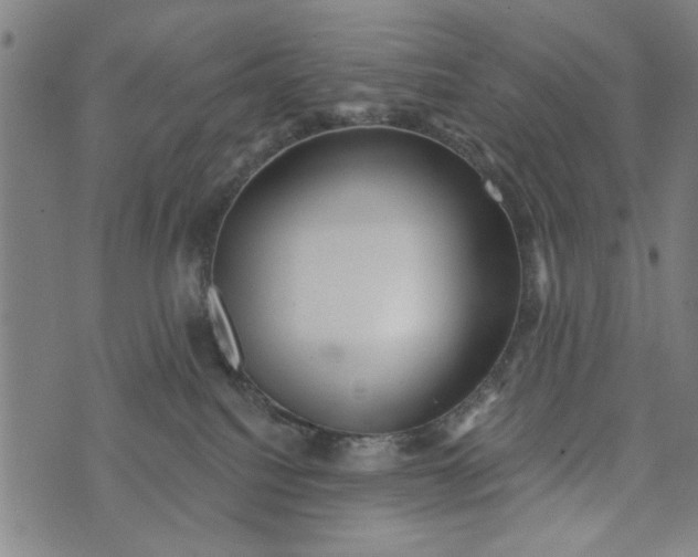 X0000073730088200608241308