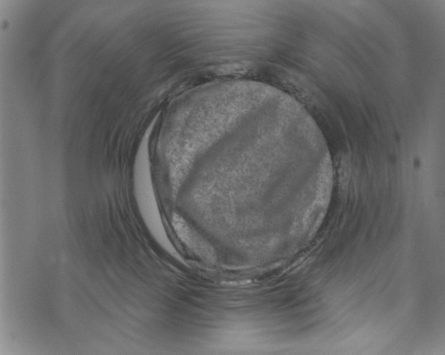 X0000073730089200608241308