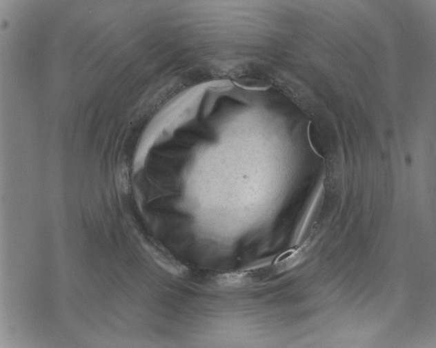 X0000073730090200608241308