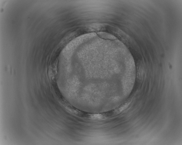 X0000073730091200608241308