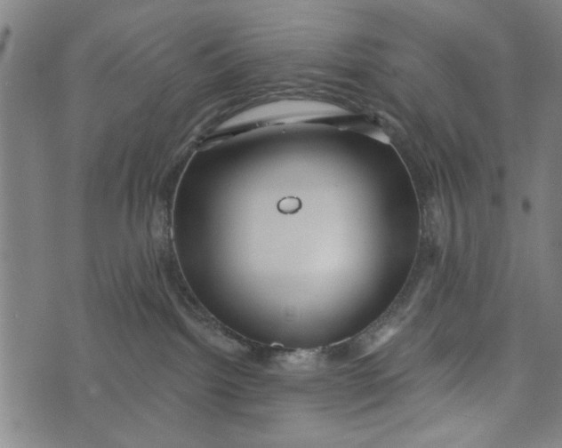 X0000073730092200608241308