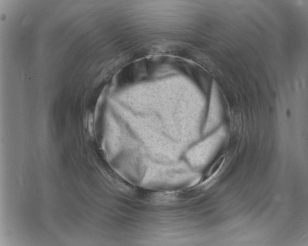 X0000073730094200608241308