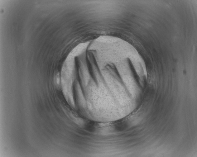 X0000073730095200608241308