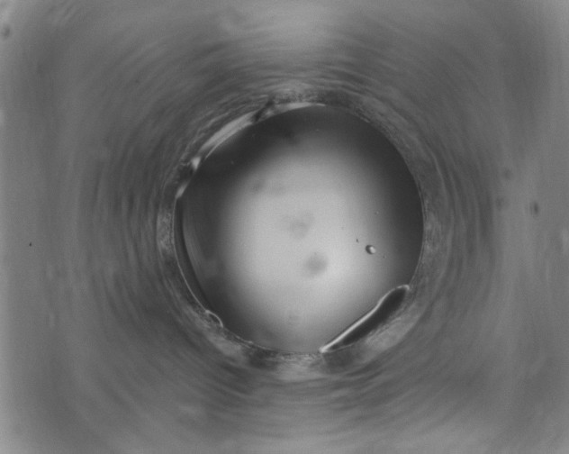 X0000073730096200608241308