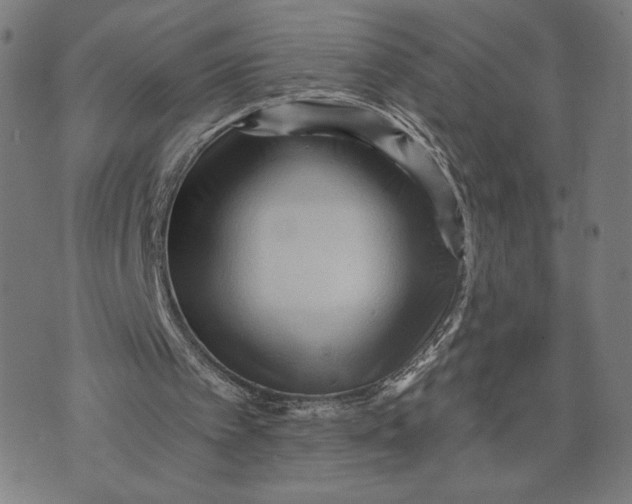 X0000073730097200608241307