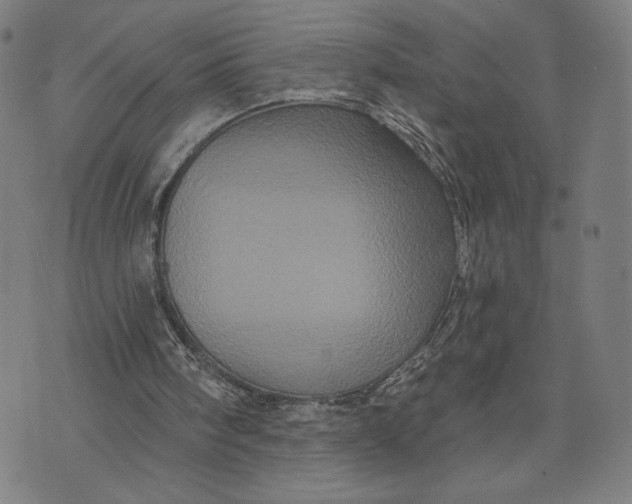 X0000073730098200608241307