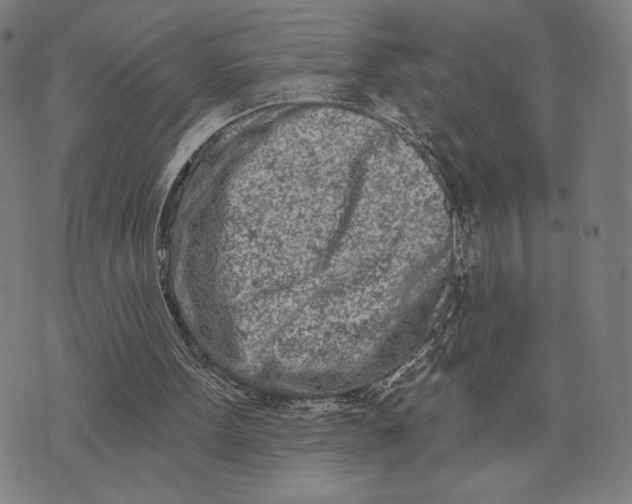 X0000073730099200608241307