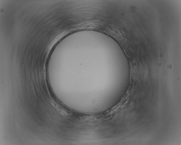 X0000073730100200608241307