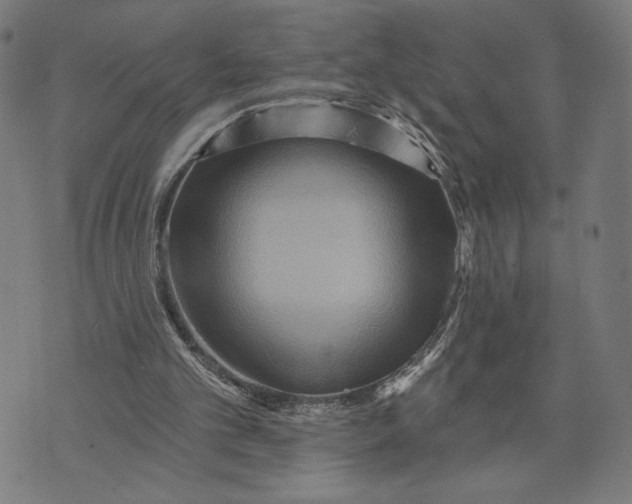 X0000073730101200608241307