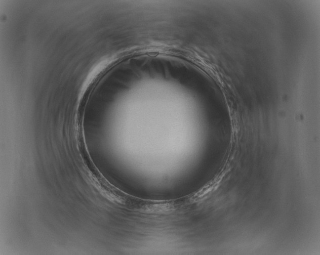 X0000073730102200608241307