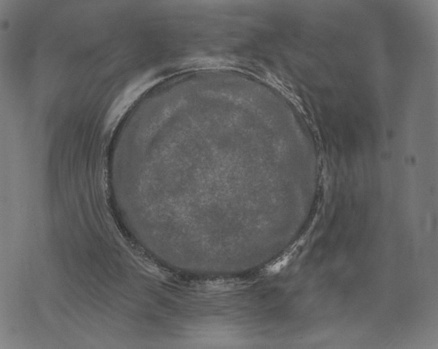 X0000073730103200608241307