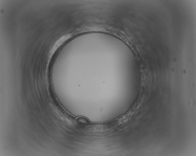 X0000073730104200608241307