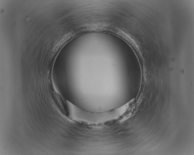 X0000073730105200608241307