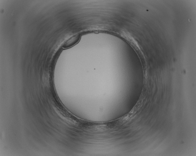 X0000073730108200608241307