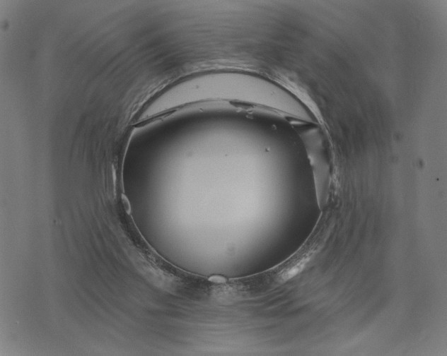 X0000073730109200608241307