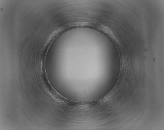 X0000073730110200608241307