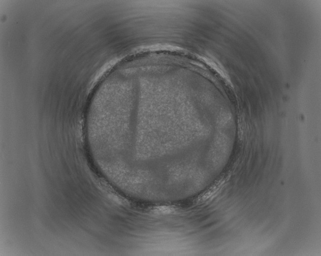 X0000073730111200608241307